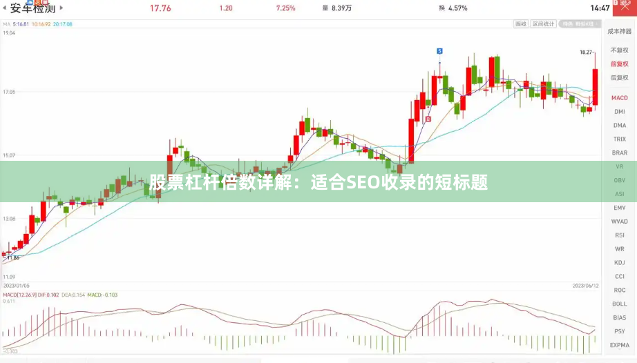 股票杠杆倍数详解：适合SEO收录的短标题